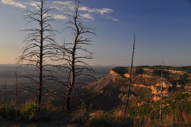 Leaving Mesa Verde